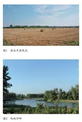 利辛地名语言文化考