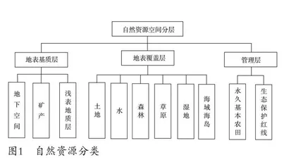 新环境下自然资源与国土空间规划标准化