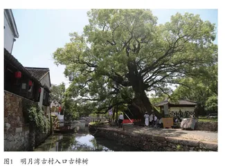 古村落保护与可持续发展