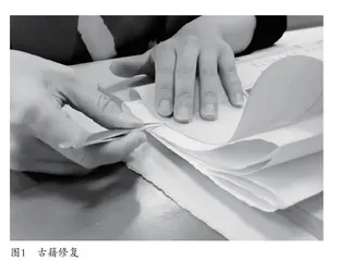 公共图书馆与非物质文化遗产保护