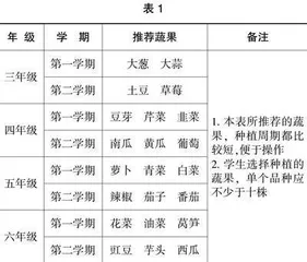 深化新时代教育评价改革的实践探究