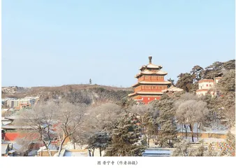 探索文物管理与保护之奥秘