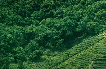 智慧旅游融合带动乡村旅游与民俗文化传承