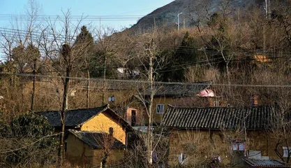 “艺术”赋能乡村振兴