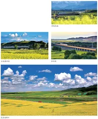 新丝路 