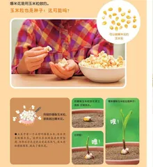 种子变成好吃的