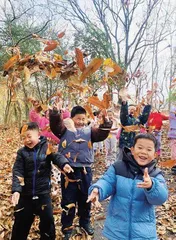 携手融合， 共筑孩子的无限可能
