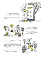 阿獾的糖