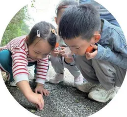 融合教育故事分享