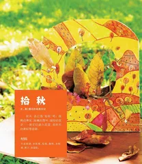 拾秋