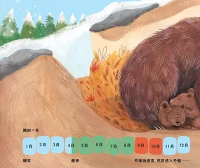 灰熊的冬天