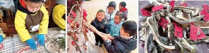 冬腊风腌迎新年