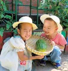 西瓜成长记