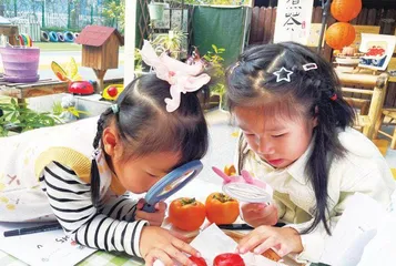 一园柿子满枝头