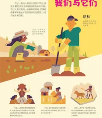 我们与它们
