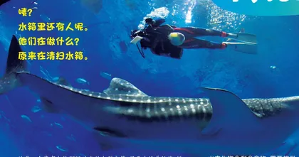 闪亮的水族馆