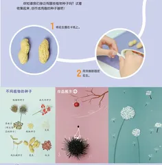 创意种子画
