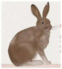 动物请回答：你怎么保 护自己？