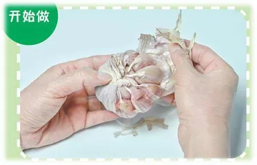 腊八蒜