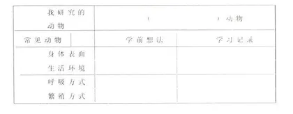 让科学探究“去伪存真”