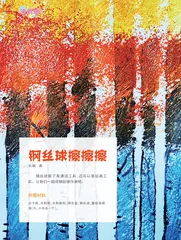 钢丝球擦擦擦