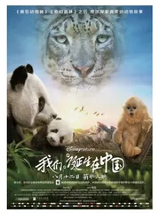 光影伴成长