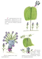 会笑的痒痒树