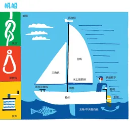 帆船与赛艇