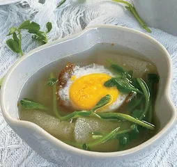 春意盎然芽苗菜