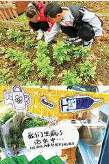 艾草驱虫记