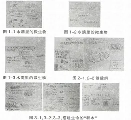 多渠道自主使用科学教材的有效尝试