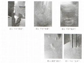实验引领：从奇趣体验走向智慧思辩