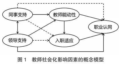 角色认同理论视角下组织支持对幼儿园新教师职业认同的影响：能动性和人职适应的链式中介作用