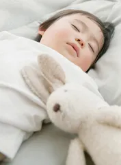 除螨抗敏大作战