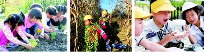 农场，不只是劳动