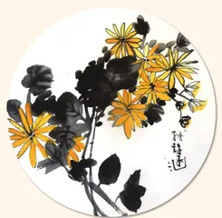 自然角的菊花1
