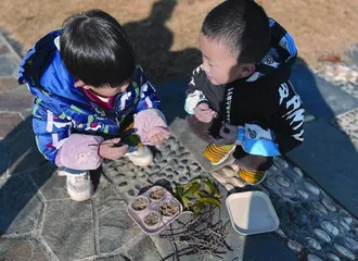 户外美术游戏：回归自然体验的寻美之旅1