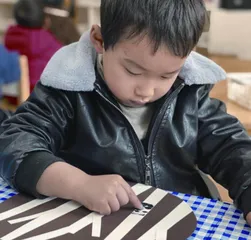 中班综合美术活动：探叶奇遇记5
