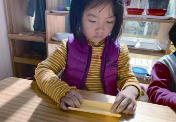 中班综合美术活动：探叶奇遇记6