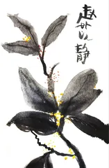 美丽的桂花2