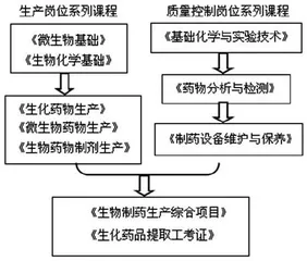 高职生物制药技术专业核心课程体系的建立与实践