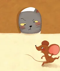 呆呆猫的胡子