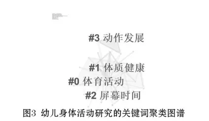 我国幼儿身体活动研究的述评与展望2