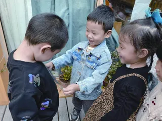 中班综合美术活动:玩色大爆炸1