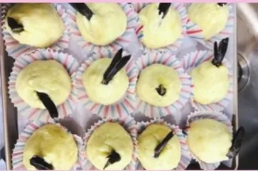 大班综合美术活动：天生一“对”1