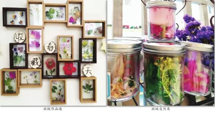 自然物大变身4