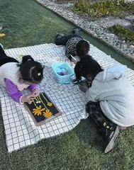 又见茼蒿时1