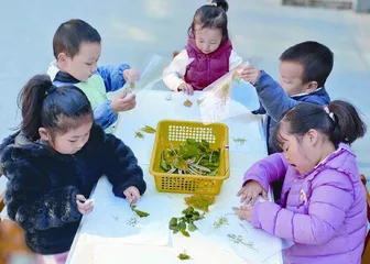 小班综合美术活动：叶子敲印染2