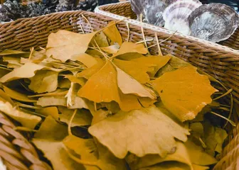 我班环境的小改造10