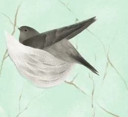 杜鹃姑娘学造房2